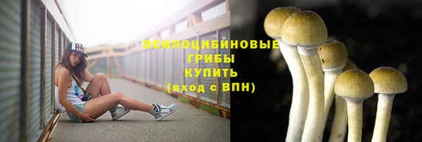 mdpv Алексеевка