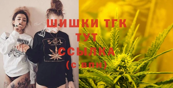 дурь Алексин